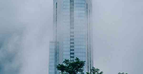 防冻液什么组成
